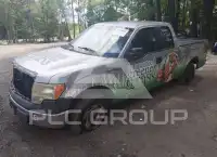 2009 Ford F-150 photo