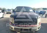 2009 Ford F-150 photo