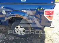 2009 Ford F-150 photo