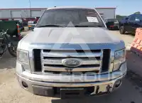 2009 Ford F-150 photo