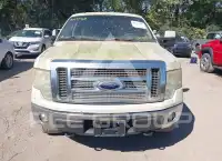 2009 Ford F-150 photo