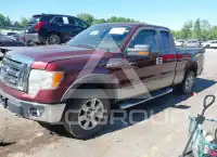 2009 Ford F-150 фото