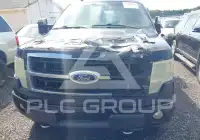 2009 Ford F-150 photo