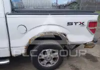 2009 Ford F-150 фото
