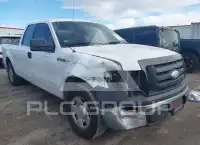 2009 Ford F-150 photo