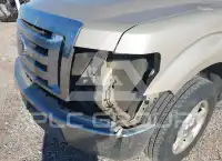 2009 Ford F-150 фото