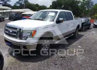 2009 Ford F-150 photo