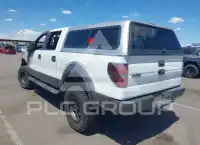 2009 Ford F-150 фото