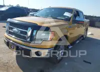 2009 Ford F-150 photo