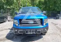 2009 Ford F-150 фото