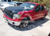 2009 Ford F-150 photo