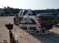 2009 Ford F-150 photo