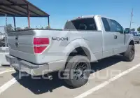 2009 Ford F-150 photo
