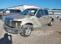 2009 Ford F-150 фото