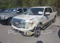 2009 Ford F-150 photo
