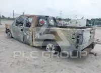 2009 Ford F-150 photo