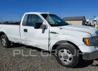 2009 Ford F-150 photo