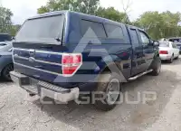 2009 Ford F-150 photo