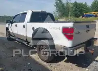 2009 Ford F-150 photo