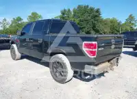 2009 Ford F-150 фото