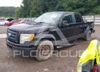 2009 Ford F-150 фото