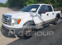 2009 Ford F-150 photo