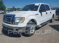 2009 Ford F-150 фото