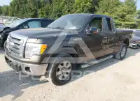 2009 Ford F-150 photo