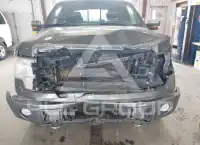2009 Ford F-150 photo