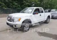 2009 Ford F-150 photo