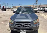 2009 Hyundai Santa Fe фото