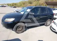 2009 Hyundai Santa Fe фото
