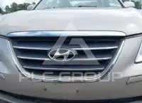 2009 Hyundai Sonata фото