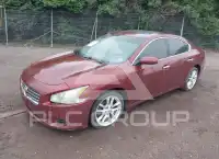 2010 Nissan MAXIMA фото