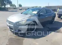 2010 Nissan MAXIMA фото