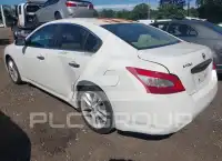 2010 Nissan MAXIMA фото