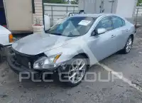 2010 Nissan MAXIMA photo