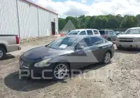 2010 Nissan MAXIMA фото