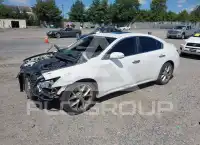 2010 Nissan MAXIMA photo