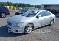2010 Nissan MAXIMA photo