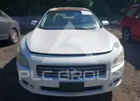 2010 Nissan MAXIMA фото