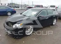 2010 Nissan MAXIMA фото