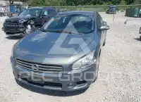 2010 Nissan MAXIMA фото