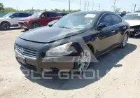 2010 Nissan MAXIMA фото