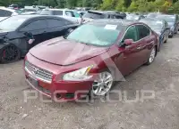 2010 Nissan MAXIMA photo
