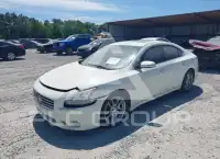 2010 Nissan MAXIMA фото