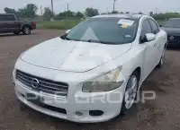 2010 Nissan MAXIMA фото