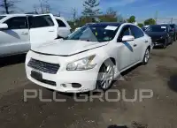 2010 Nissan MAXIMA фото