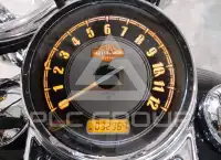 2010 Harley-Davidson FLSTC photo