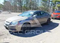 2010 Chevrolet Malibu фото